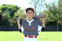 AAADBacks018