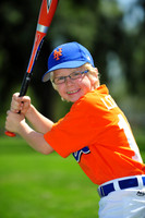 Farm_Mets020