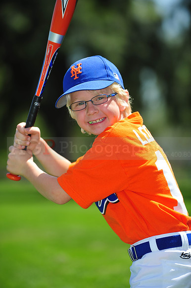 Farm_Mets020