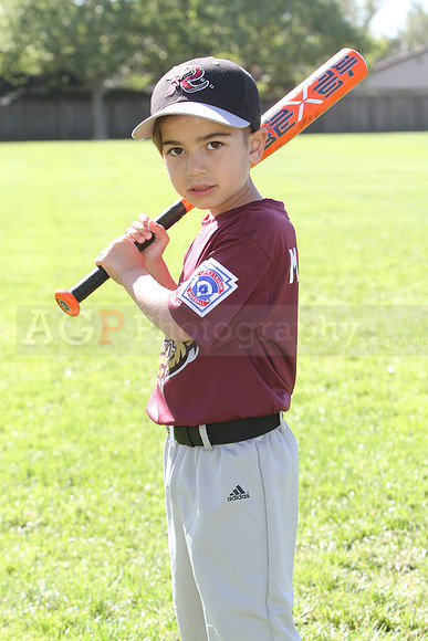 FMTimberRattlers066