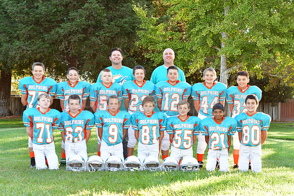 Dolphins119