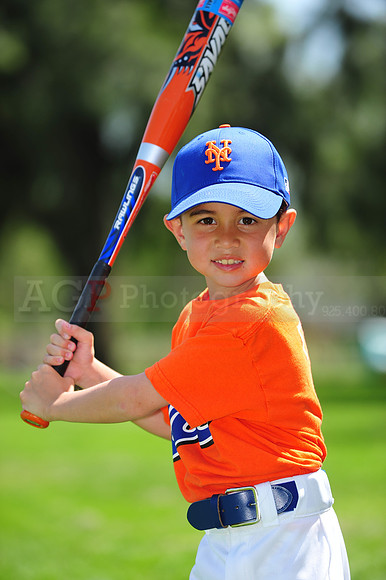 Farm_Mets030