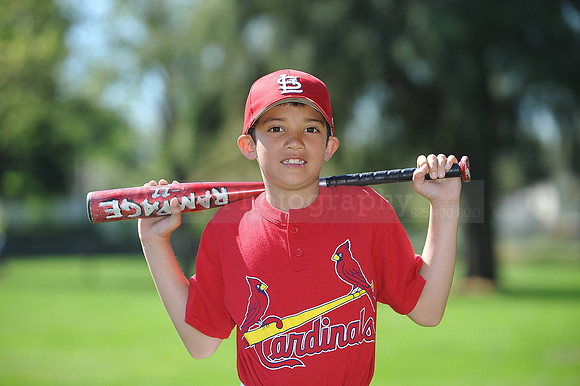 AA_Cardinals064