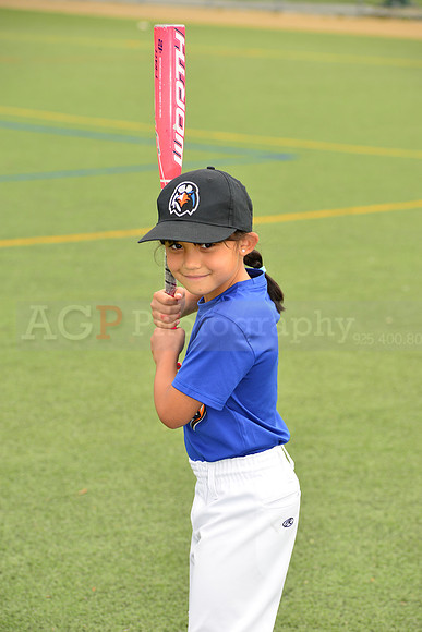 SB_TB_Ironbirds00016