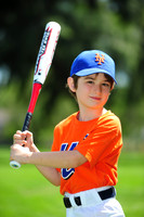 Farm_Mets004
