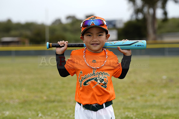 TBGrasshoppers00110