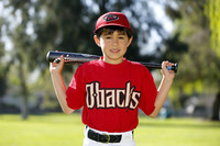 FMDBacks013