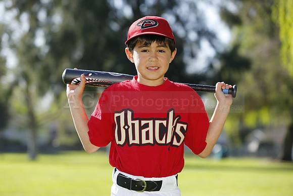 FMDBacks013