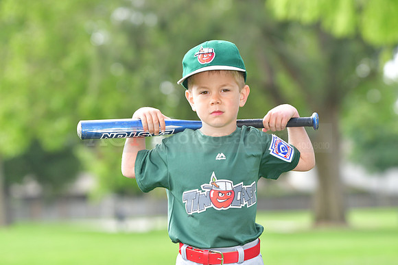 TBTincaps009