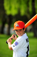 MMarlins008