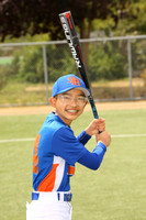 SB_BR_Mets00008