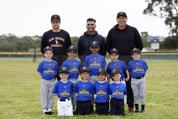 TBIronBirds00142