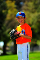 AAA_Mets016