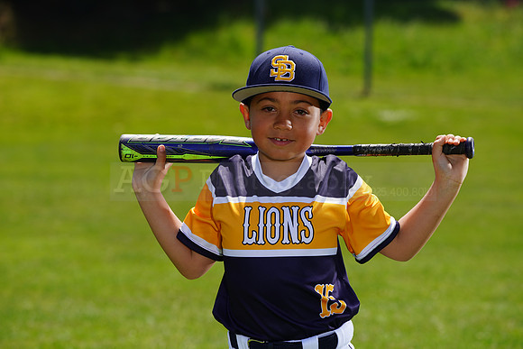 SB_PW_Lions035