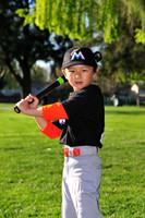 TBMarlins009