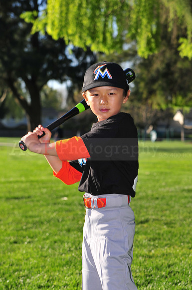 TBMarlins009