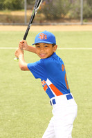 SB_BR_Mets00019