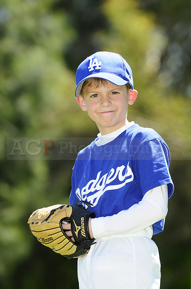 FarmDodgers068