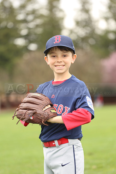 AARedsox018