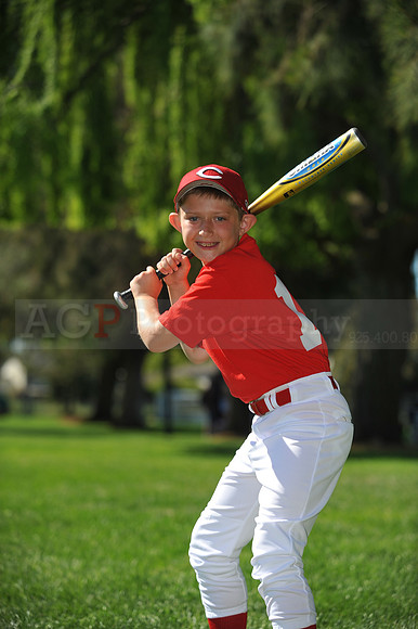 Farm_Reds074
