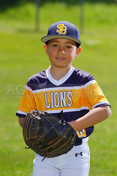 SB_PW_Lions029