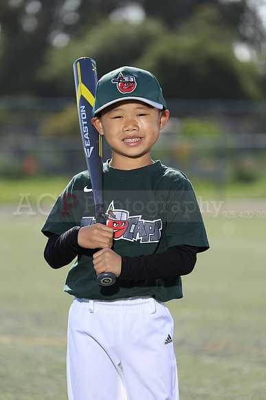 SB_TB_TinCaps047