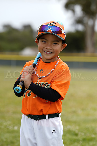 TBGrasshoppers00104