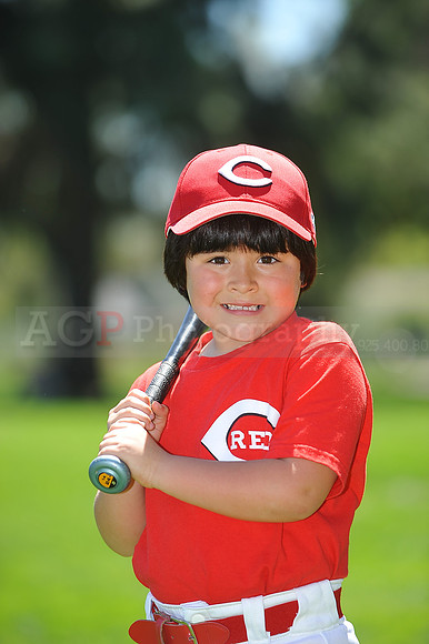 T-Ball_Reds031