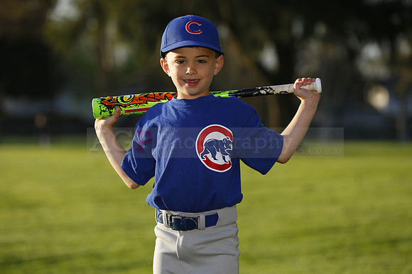 FarmCubs034