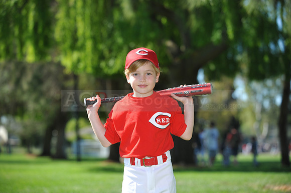 Farm_Reds069