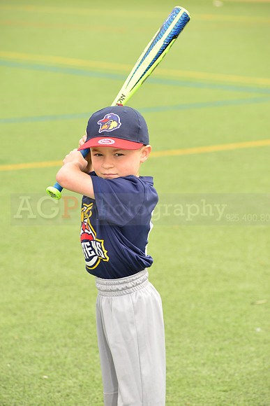 SB_TB_mudhens00071