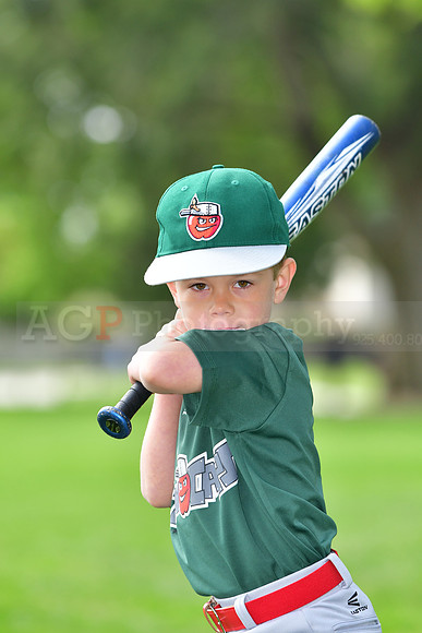 TBTincaps005