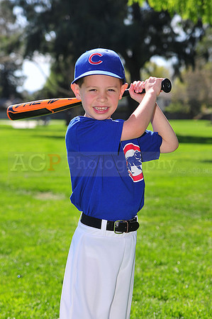 FMCubs023