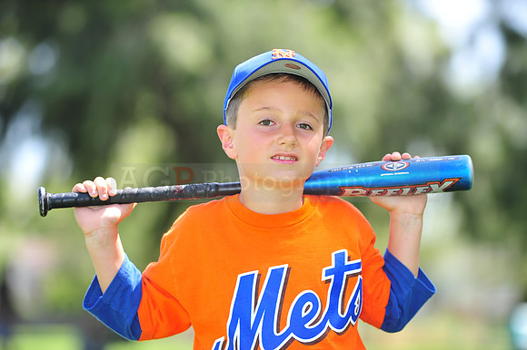 Farm_Mets111