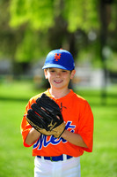 AA METS