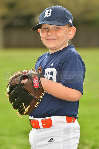 AATigers025