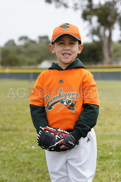 TBGrasshoppers00002
