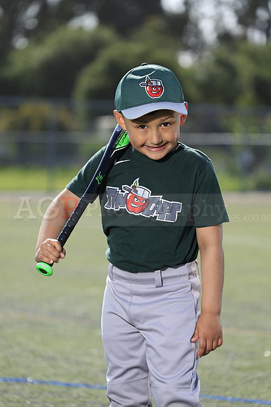 SB_TB_TinCaps025