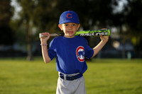 FarmCubs015