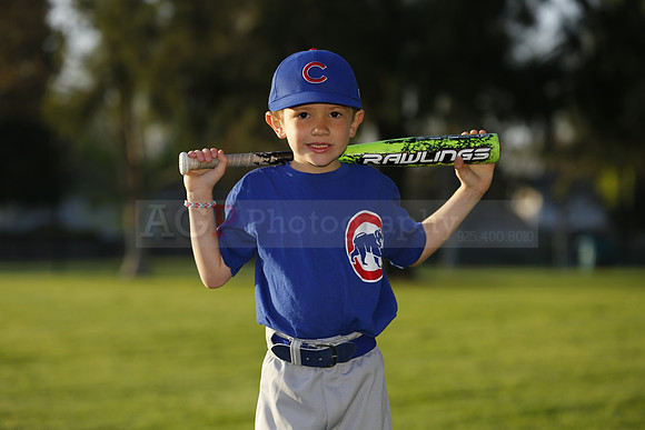 FarmCubs015