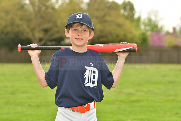 AATigers042