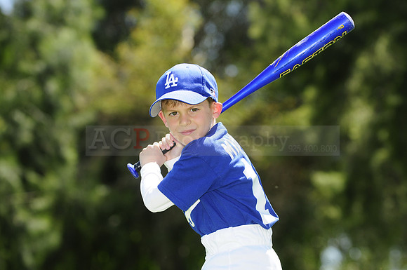 FarmDodgers073