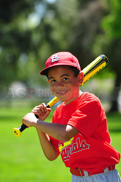 TBCardinals422