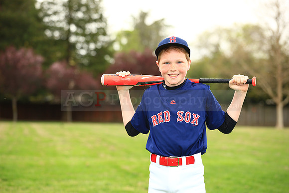 AARedsox075
