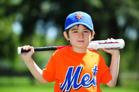 Farm_Mets005