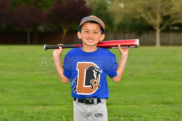 TBBulls037
