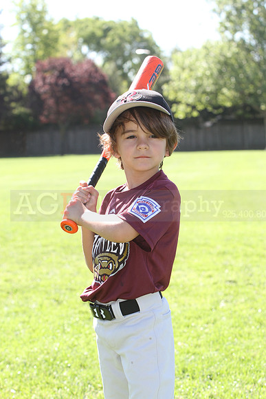 FMTimberRattlers011