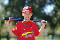 A_Cardinals019