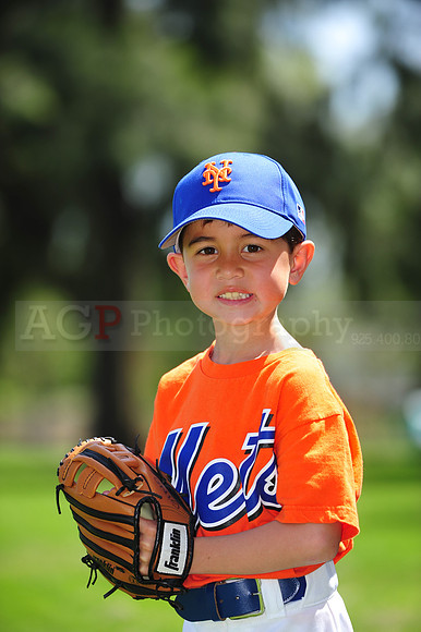 Farm_Mets026