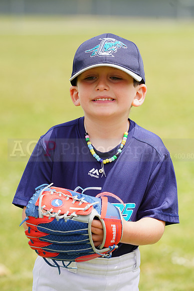 AGP09140